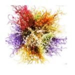 Folhagem Artificial de Erva-de-Passarinho 32 cm