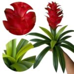 Bromélia Artificial Vermelha - Imagem 2