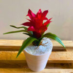 Bromélia Artificial Vermelha
