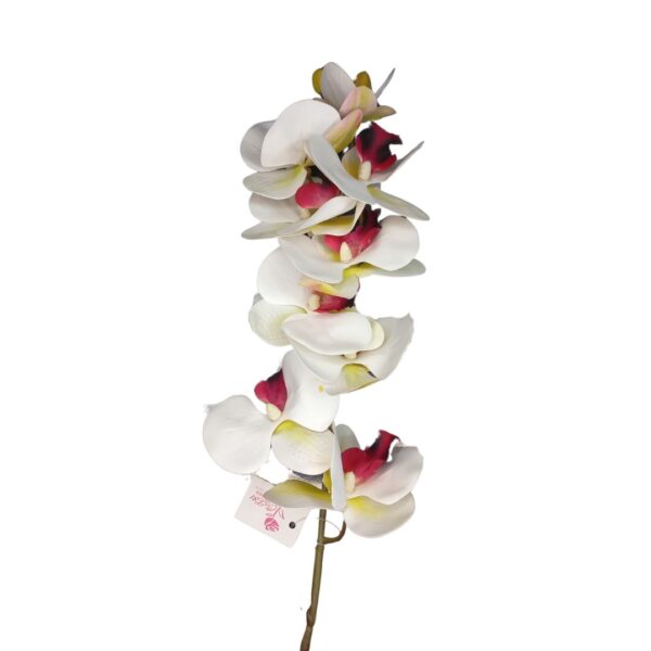 Qx HT Orquidea 78cm 64208 64661