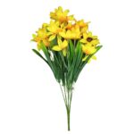 BQ ANEMONE MG2005  7892017106638