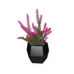 Bq Lavanda X5 37Cm Mg858 7892017104177 - Imagem 2