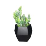 BQ Gominho MG2634 - Imagem 6