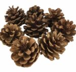 Kit 6 Unidades de Enfeites de Pinha com 4 cm – Decoração Natalina - Imagem 3