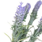 BQ Lavanda - Imagem 2