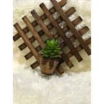 Trelica E Grade - 25x25 Cm - Imagem 2