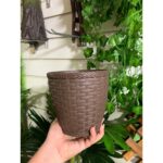 Vaso Rattan Redondo de Plástico Mini 1,8 Litros