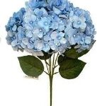 Bq Hortensia  30cm MG4408